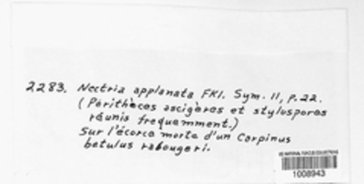 Thelonectria applanata image